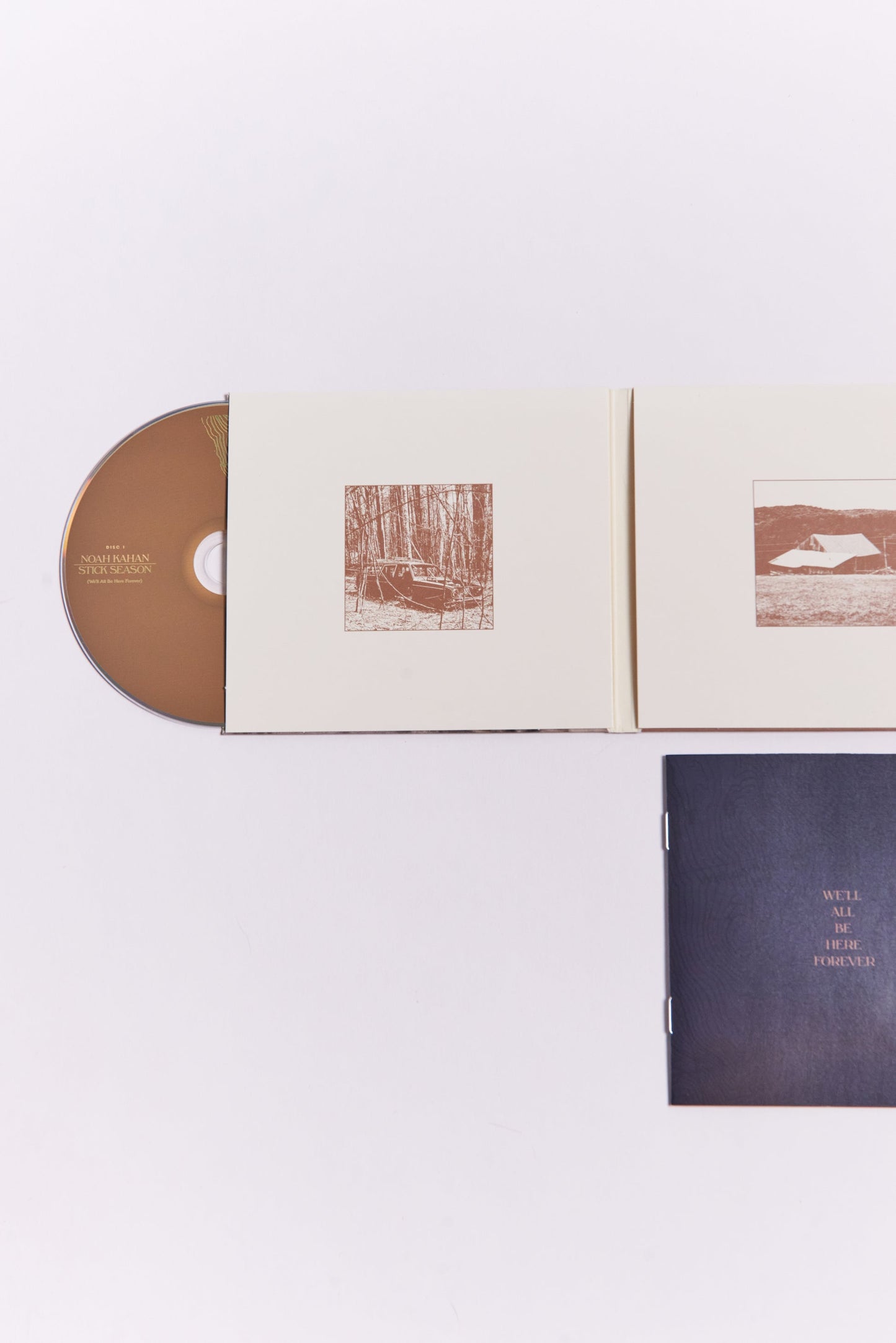 Stick Season (We'll All Be Here Forever) Deluxe 2CD