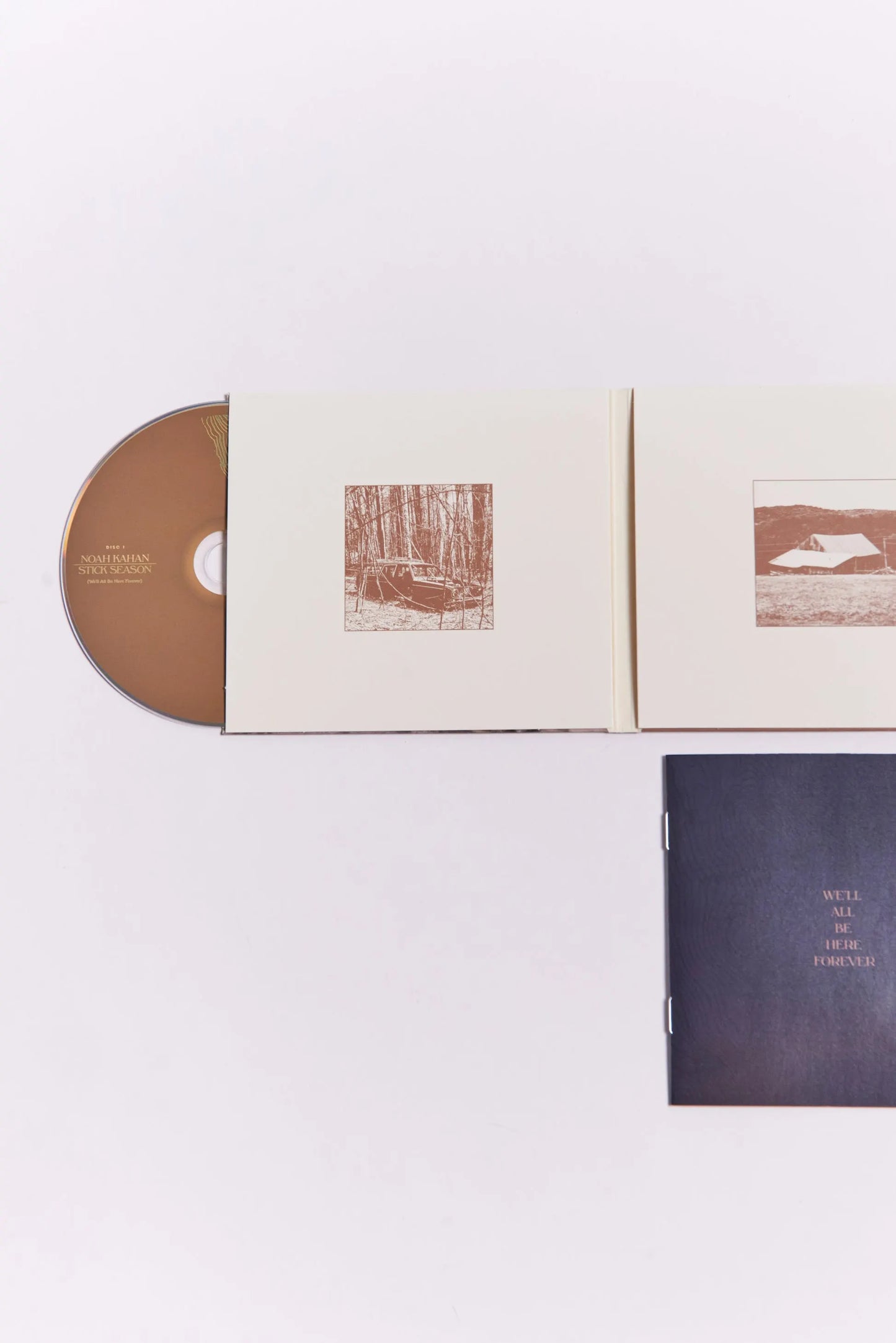 Stick Season (We'll All Be Here Forever) Deluxe 2CD