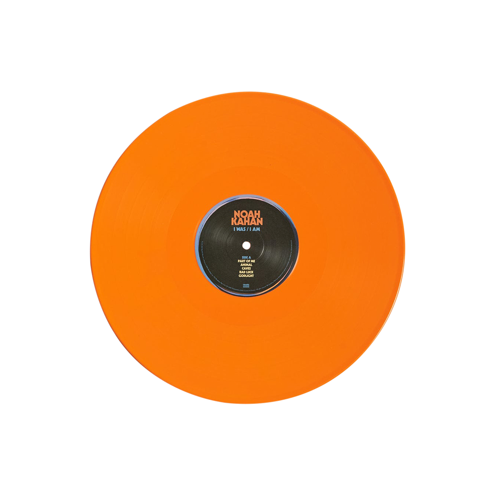 I WAS / I AM Vinyl