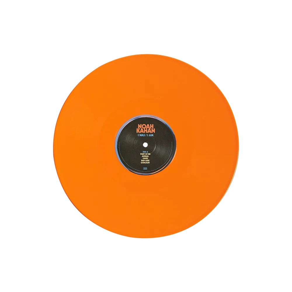I WAS / I AM Vinyl