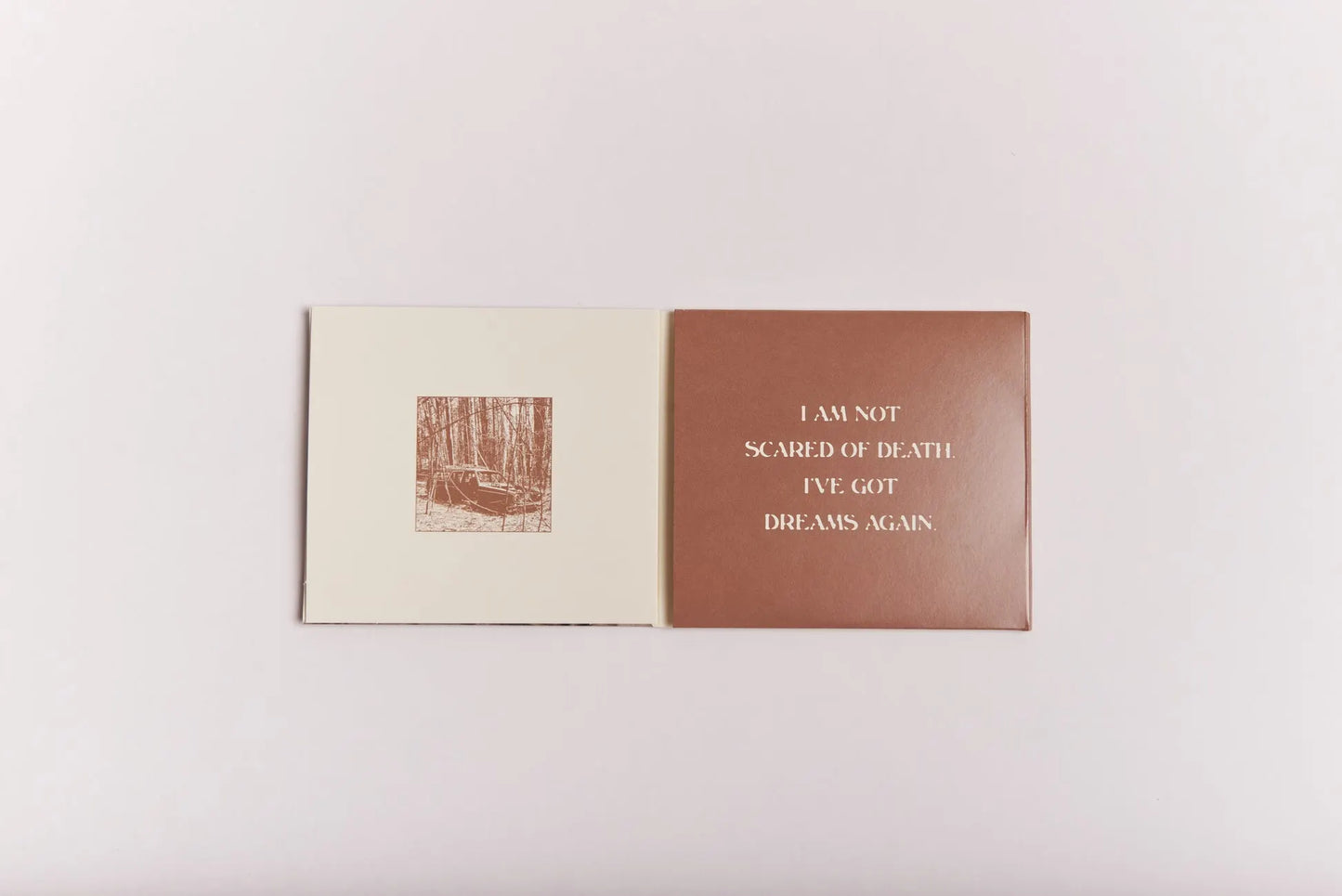 Stick Season (We'll All Be Here Forever) Deluxe 2CD