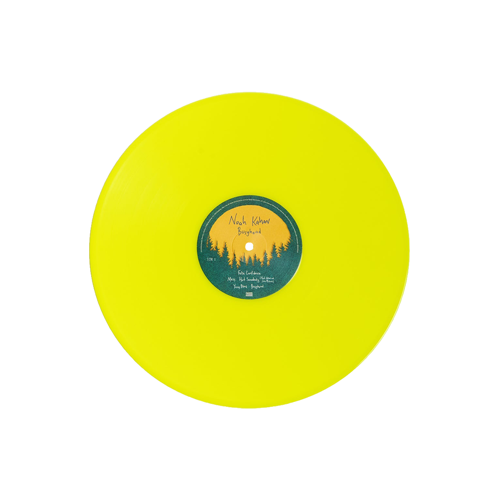 Busyhead Vinyl (Yellow)